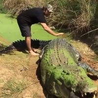 Un gros pépère