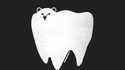 Un ours molaire