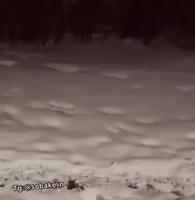 J’en aurai fait un autre 