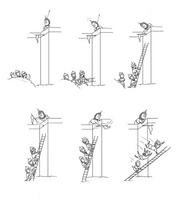 Question de perspective.