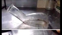 Carafe à décanter 