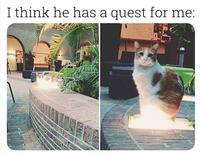 Je pense qu’il a une quête pour moi. 