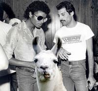 Freddie Mercury , Michael Jackson et Louie le lama