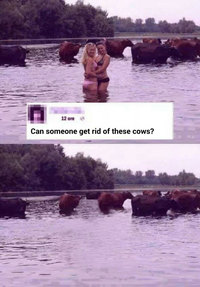 Quelqu'un peut effacer les vaches avec photoshop ?