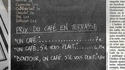 Bonjour, cher serveur, puis-je solliciter votre attention afin de passer commande ?