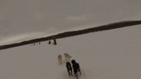 Pendant la course, pas le temps de s'arrêter