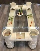 Table basse et aquarium