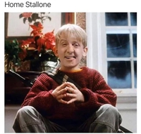 Home Stallone 