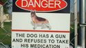 Beware of the dog