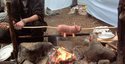 Cochon à la broche