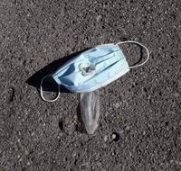 Peut être la photo de l’année 