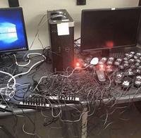 Invasion de souris