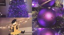 C'est noël, 'member ? 