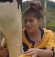 Traire c’est bon pour la peau du visage 