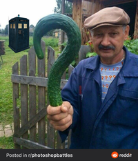 E.nigma dans le pré