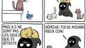 Kan le CCC a un allié...