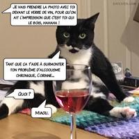 Pendant ce temps, sur Instagram....