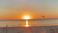Détends-toi: Sunset à Cable Beach