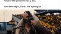 Nous sommes navrés, Bane...