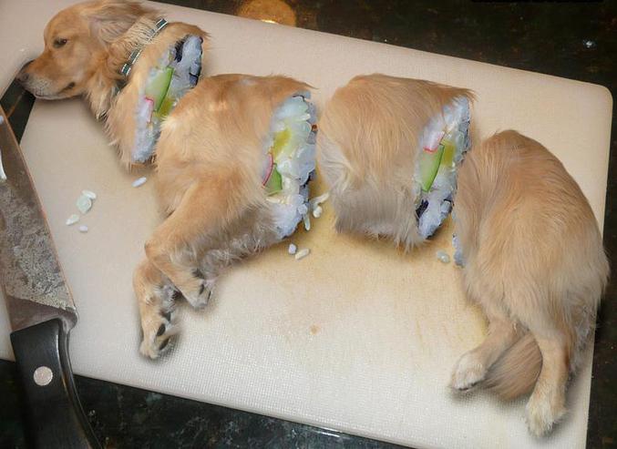 Un sushi qui a du chien.