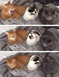 ouuuaaaaahhh.