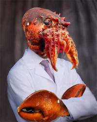 Professeur Zoidberg