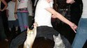 Chat chat chat