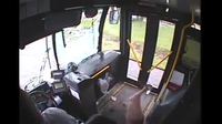 Un cerf prend le bus