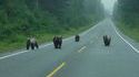 Route tranquille