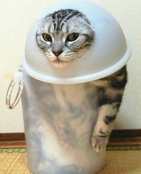 Chat2D2
