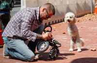 M'emmerdes pas, tu vois pas que je répare ton bouzin... Déjà que t'auras pas de chocolat !