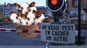 Les rails du train