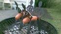 Porte saucisses