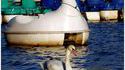 Bateau d'infiltration