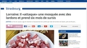 Tiens un nouvel article du Gorafi...