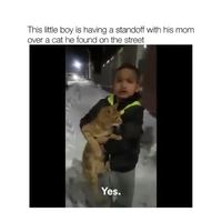 Un enfant veut sauver un chat