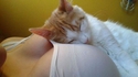 Un moment tendresse