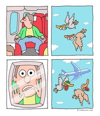Une blague de canard