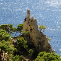 Quand la nature t'emmerde