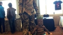 The family Groot