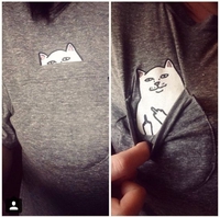 Poche chat