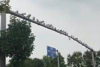 Rien n'échappe à Big brother.
