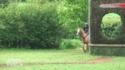 Con de cheval