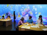 Aquarium personnalisable