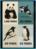 Pandi