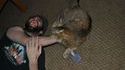 Un chat mange un bras