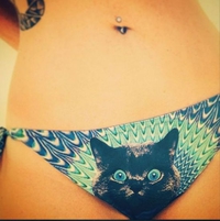 Un minou