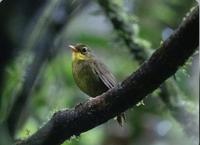 T’étais où ? tu viens plus aux soirées?