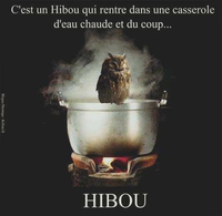 Cette blague ne vole pas bien haut.