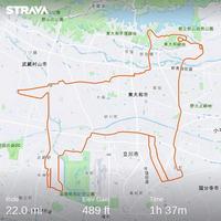 Parcours à vélo